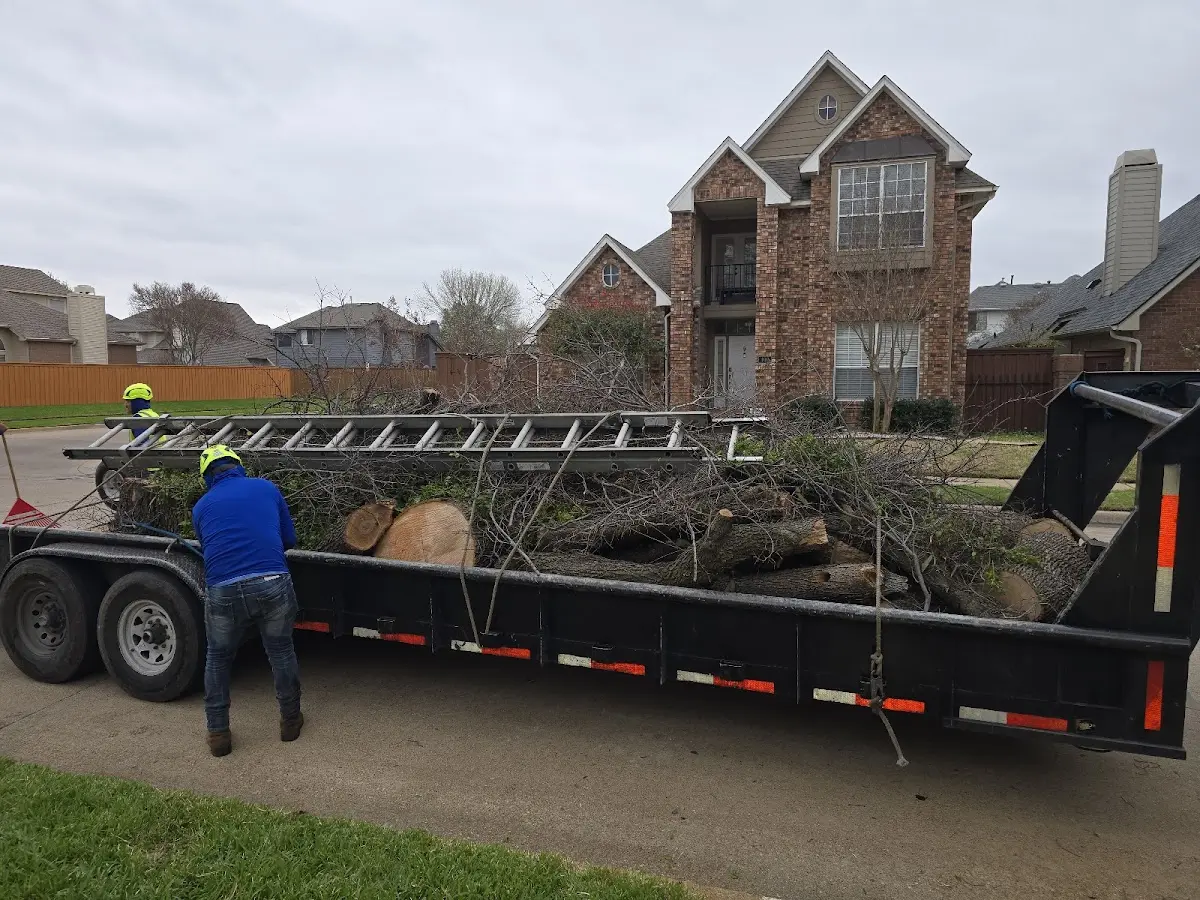 Expert Tree Pest Control with proper safety equipment in Sykesville